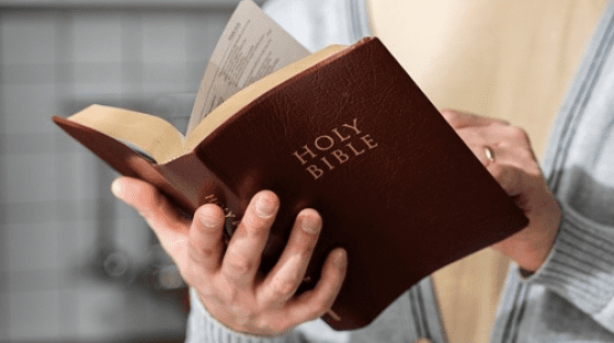1738081134-bibliologia-estudo-da-biblia